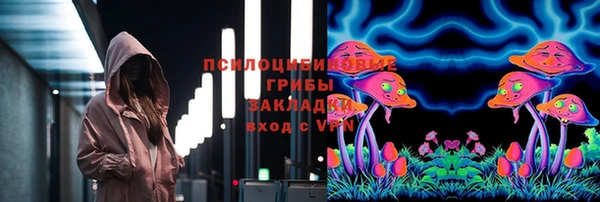 спиды Алексин