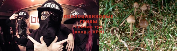 спиды Алексин